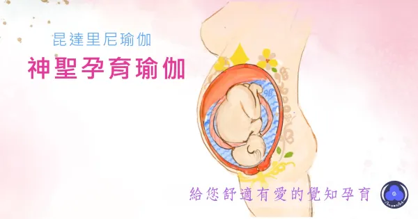 神聖孕育瑜伽 | 靜心孕育愛與生命的奇蹟_8堂線上孕婦瑜伽課